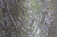 Beckjay fibreglass roof work